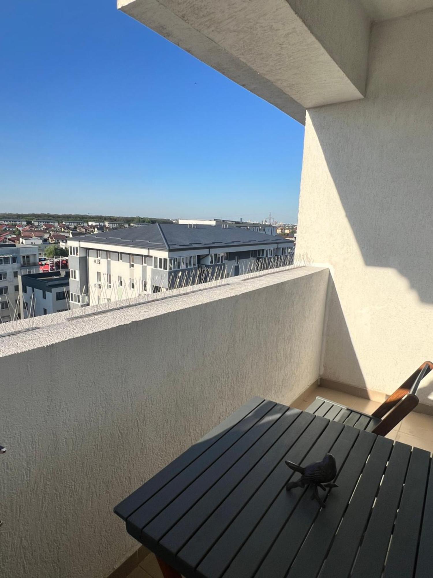 Bucharest Apolonium Sector 6 Dudu